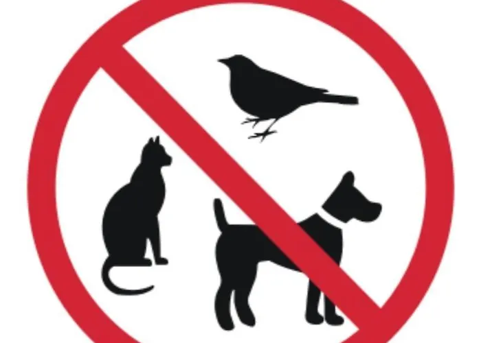 V3st & Parking Apartment